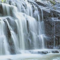 Forest Falls Photo Wallpapers for bedroom 368x254 cm