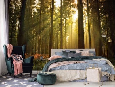 Forest scene wall mural wallpaper