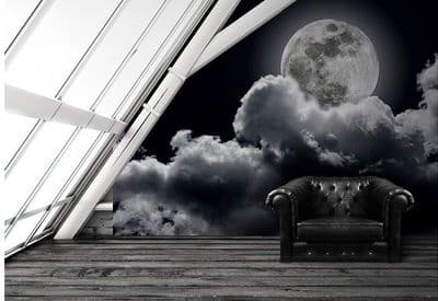 Full moon black & white wall mural