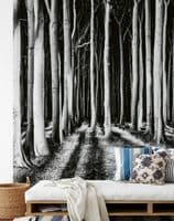 Living room photo wallpapers Ghost Forest | Shop online