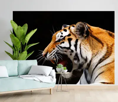 Great Tiger wild cat wallpaper mural for wall