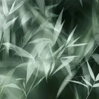 Abstract Green Leaves Photo Wallpaper | Buy it online from UK shop