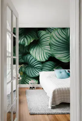 Green Plants Large Leaves Paper Photo Wallpaper 320x230 cm