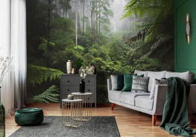 Green rainforest scenery Wallpaper Wall Mural