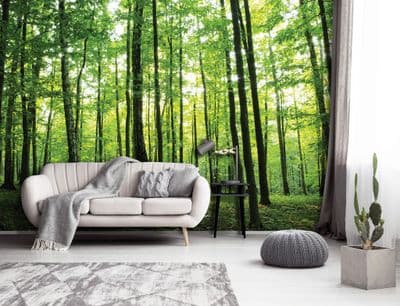 Green Summer forest wallpaper murals