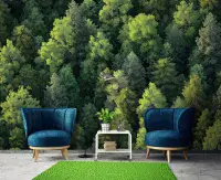 Giant Size Photo Wallpapers for Home Interior Walls  | Buy it online