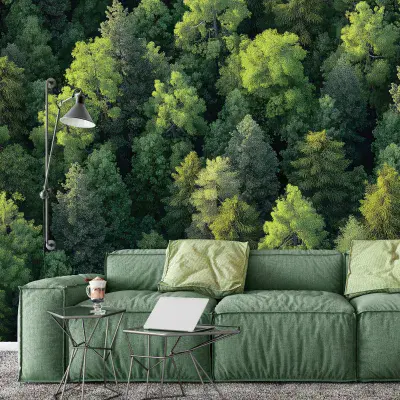 Green Trees Photo Wallpaper 312x219 cm Nature Conifers Wall Mural