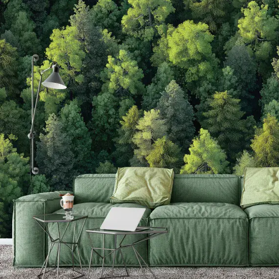 Giant Size Photo Wallpapers for Home Interior Walls  | Buy it online