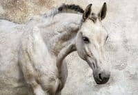 Wallpaper murals for bedroom wall | Homewallmurals.co.uk