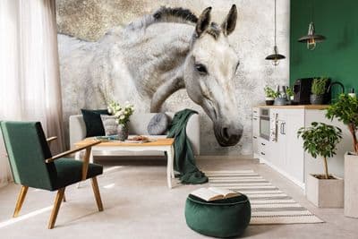 Grey Wallpaper bedroom Wall Mural Horse