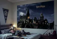 Harry Potter Castle wallpaper murals Premium | Buy it now