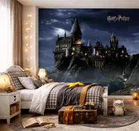 Harry Potter Hogwarts Premium wall murals | Buy it now