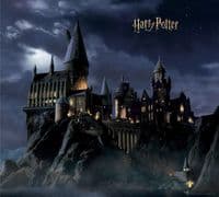 Harry Potter Hogwarts Premium wall murals | Buy it now