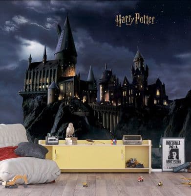 Harry Potter Hogwarts night scenery wall mural wallpaper