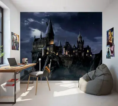 Harry Potter Hogwarts night scenery wall mural wallpaper