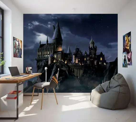 Harry Potter Hogwarts Premium wall murals | Buy it now