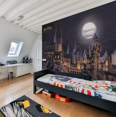 Harry Potter Hogwarts Paper wallpaper mural