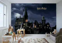 Harry Potter Premium wall murals | Buy it now