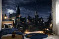Harry Potter Premium wall murals | Buy it now