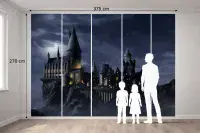 Harry Potter Premium wall murals | Buy it now