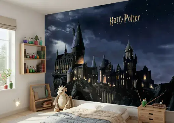 Harry Potter Premium wall murals | Buy it now