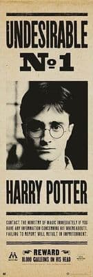 Harry Potter Undesirable 53x158 cm Movie Poster NEW