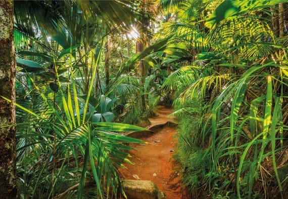 Jungle giant paper wallpapers by Homewallmurals