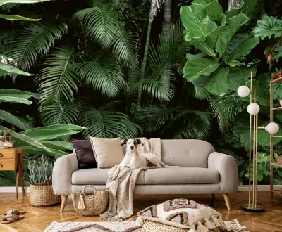 Jungle Wall Mural large leaves Photo Wallpaper