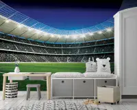 Boy's and Girl's Bedroom Soccer Photo Wallpapers  | Buy it online