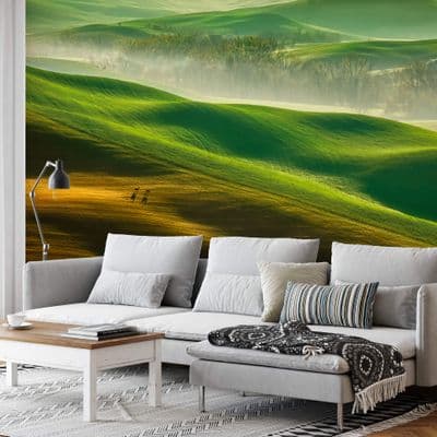 Landscape wall mural wallpaper Premium 