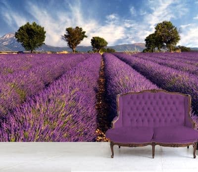 Lavender field in France wallpaper mural