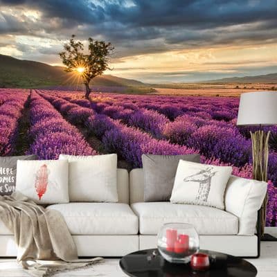 Lavender fields wall mural wallpaper 260 x 384cm Purple