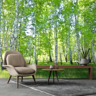 Living Room Forest Photo Wallpaper 368x254 cm
