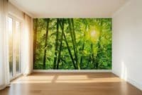 Living room photo wallpapers Bamboo Forest | Shop online
