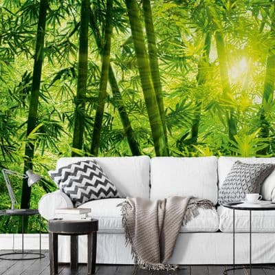 Living Room Green Bamboo Photo Wallpaper Wall Mural