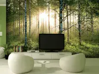 Living Room Summer forest wallpaper murals | Online store