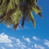 Maldives Beach Scene wall mural photo wallpaper UK shop