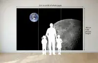 Moon & planet Earth wallpaper mural by Homewallmurals