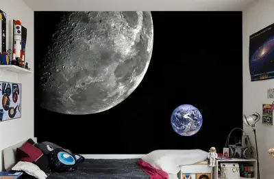Moon and earth wall mural