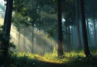 Nature Inspired Forest Decorative Wallpaper | Buy it online from UK shop