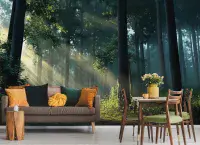 Nature Inspired Forest Decorative Wallpaper | Buy it online from UK shop