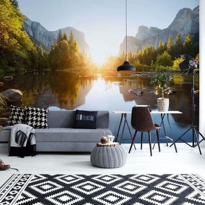 Non-woven wallpaper 312x219cm