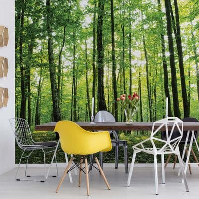 Non-woven wallpaper mural Summer forest