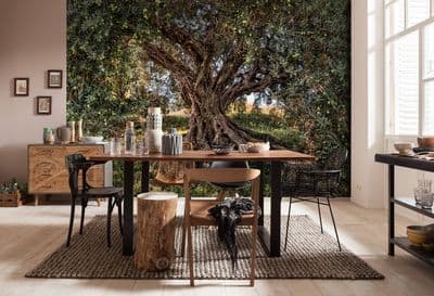 Olive Tree National Geographic wall mural wallpaper