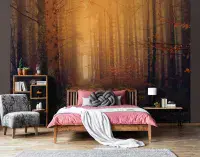 Orange Autumn Forest bedroom Wallpapers and Wall Murals | Buy it online