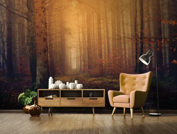 Orange Autumn Forest bedroom Wallpapers and Wall Murals | Buy it online
