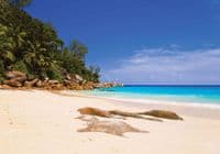 Sandy Beach wallpaper wall murals for wall | Homewallmurals.co.uk