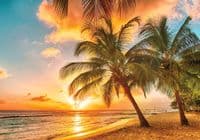 Photo wallpapers beach  and many more  | Buy it online