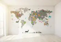 Photo wallpapers World Map and many more  | Buy it online