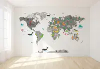 Photo wallpapers World Map and many more  | Buy it online